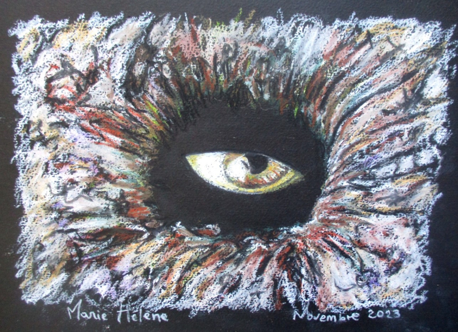 L'oeil