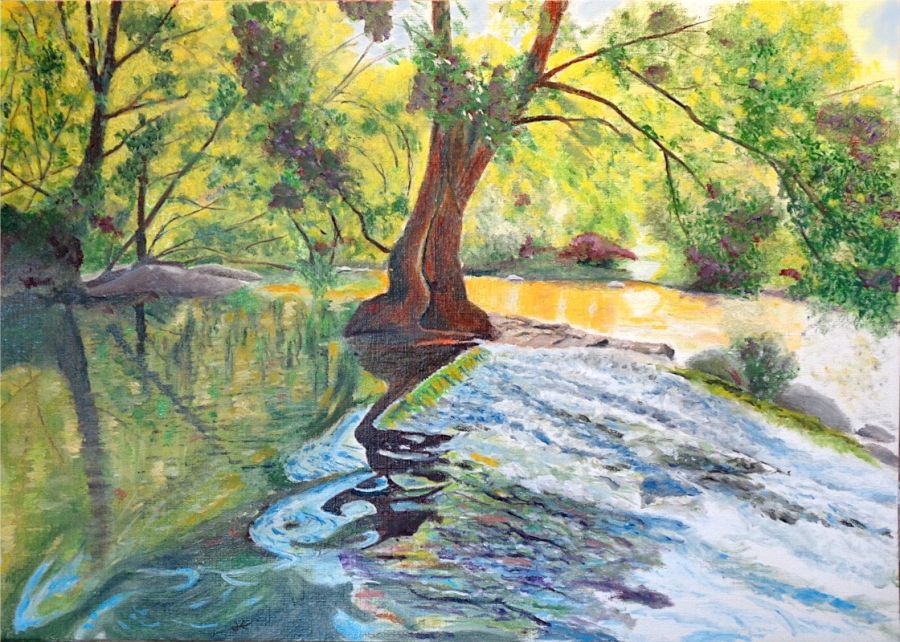 Au bord de la Moine