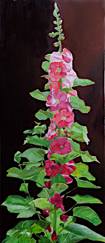 Rose trémière