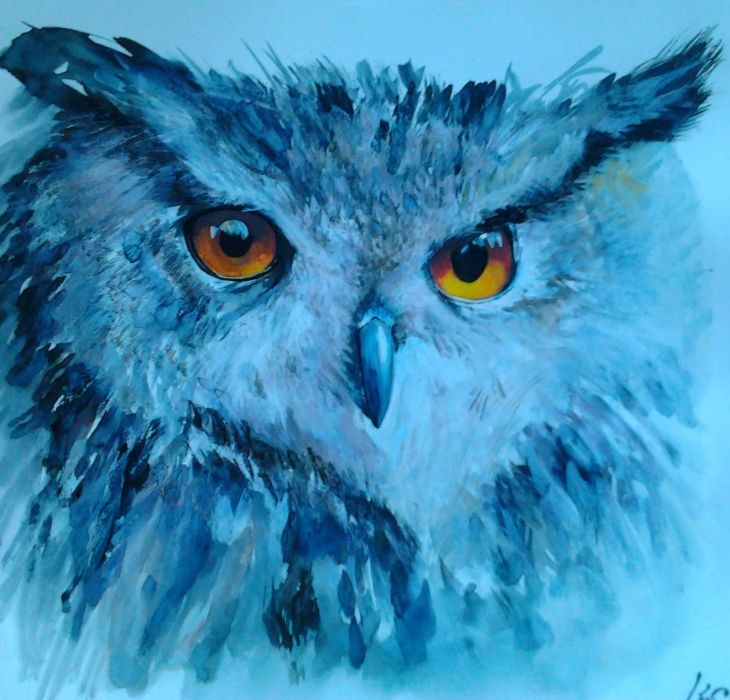 Hibou 