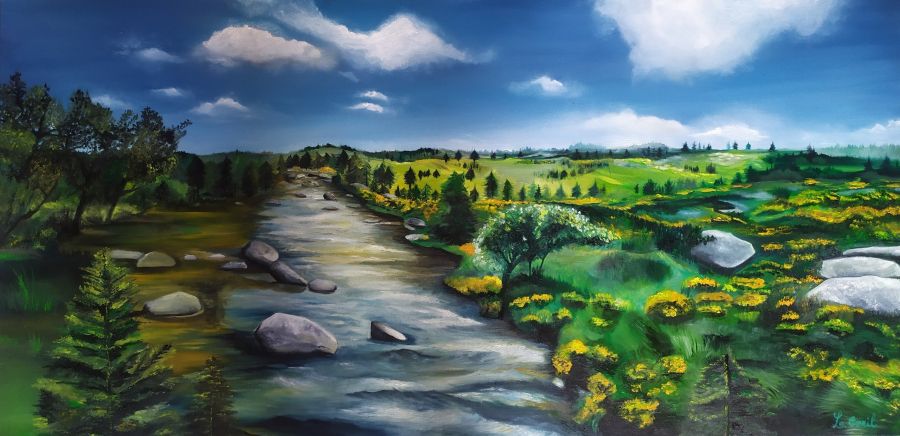 Paysage entre Margeride et Aubrac 