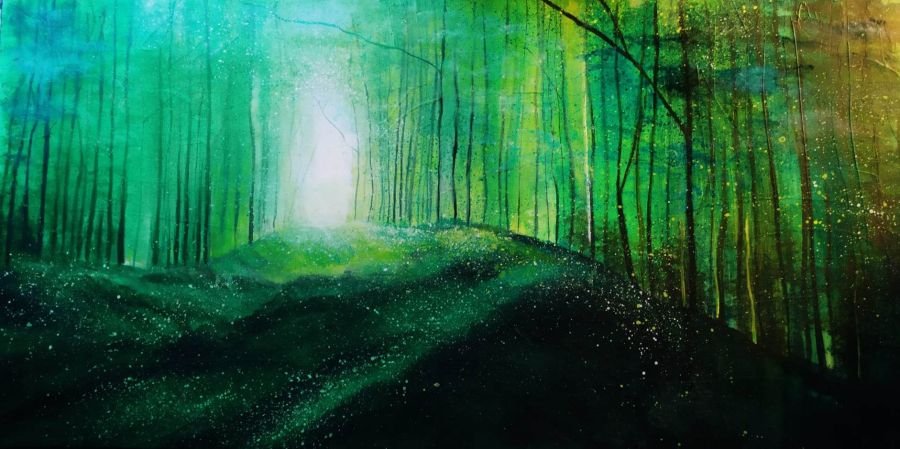 Promenade dans les sous-bois d'été 