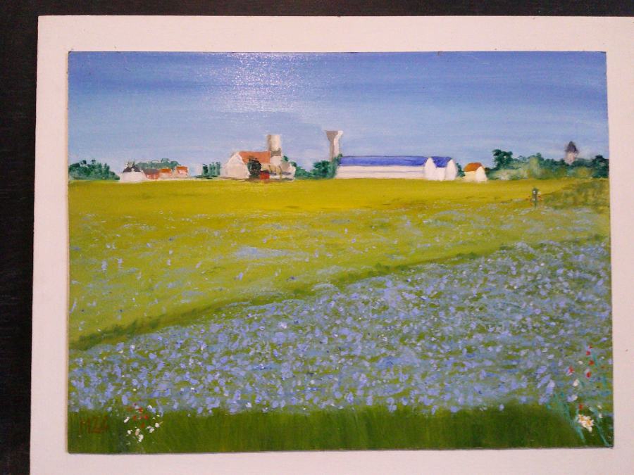 Campagne de mon village 