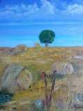 dscf0863