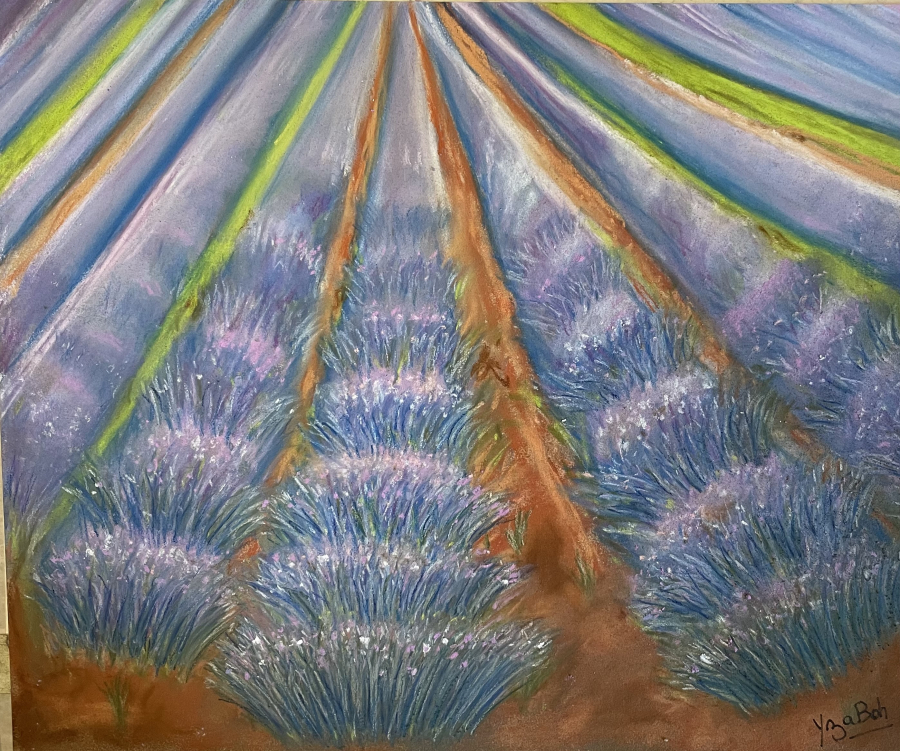 La senteur du lavandin 