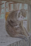 L'ennui