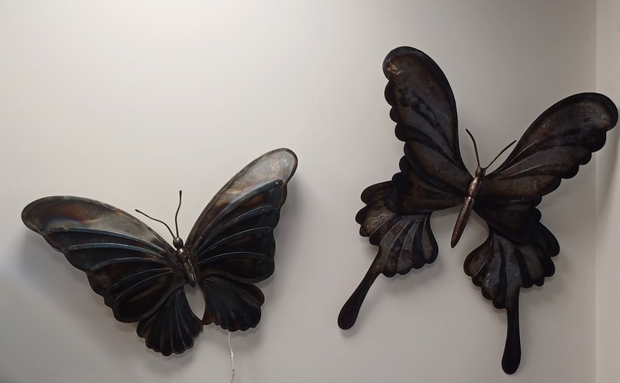 Duo de papillons
