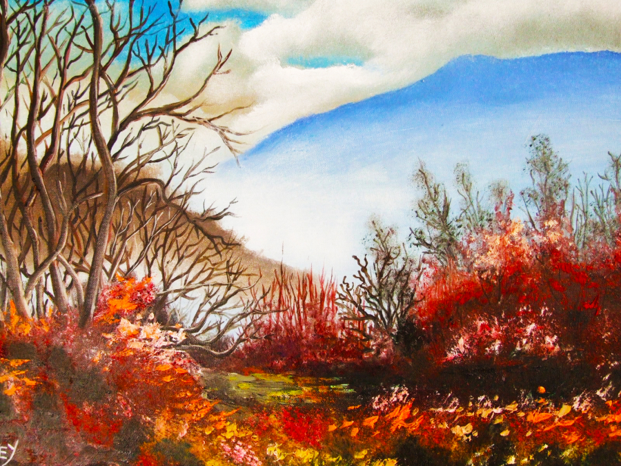 Début d'hivers sur les collines