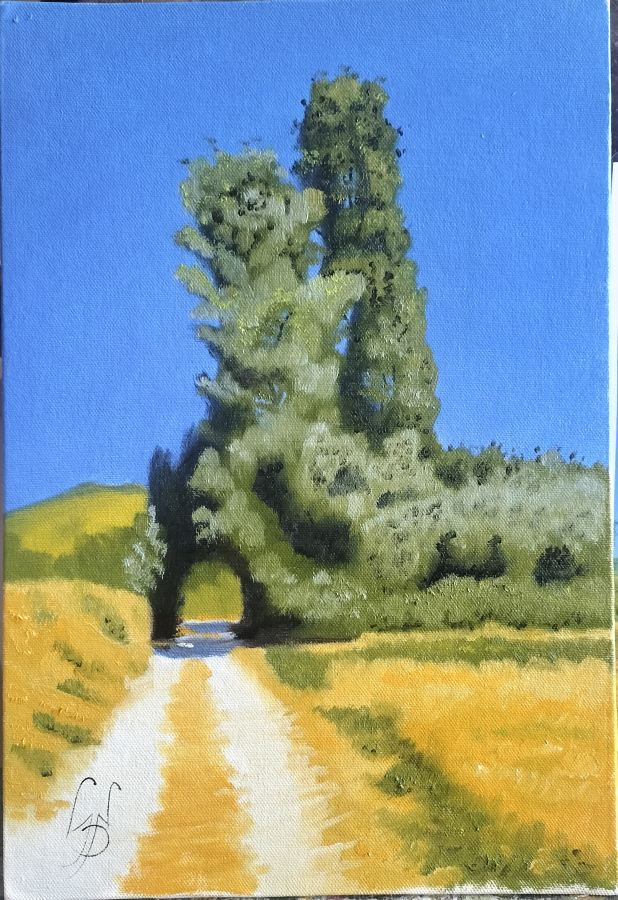 Le chemin du retour.