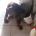 Portrait de ChoOp1512