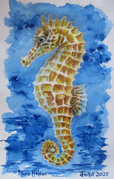 L'hippocampe