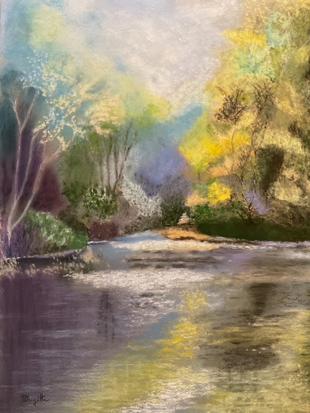 La rivière dans la forêt