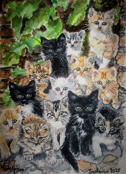 Les chatons