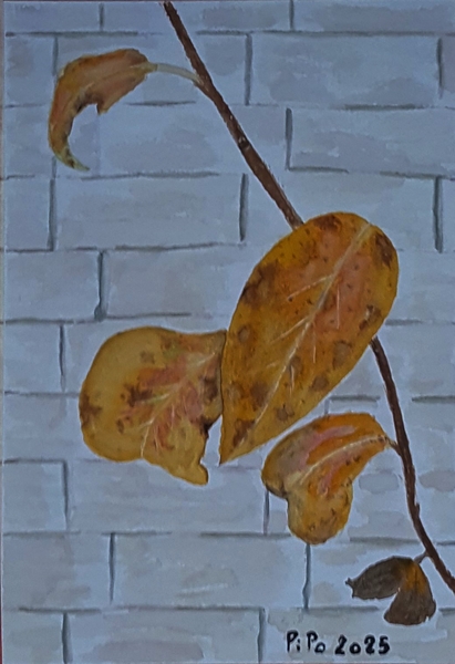 Automne