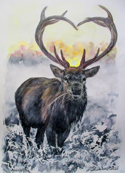 Cerf de Noël