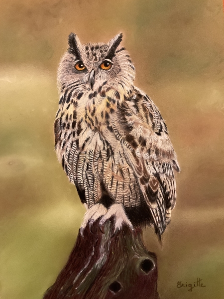Le  Hibou grand-duc