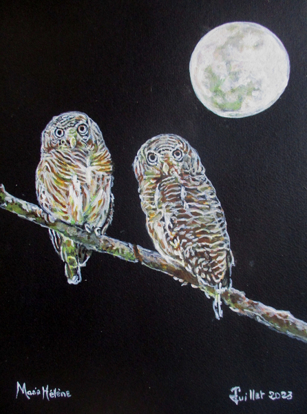 Chouettes au clair de lune