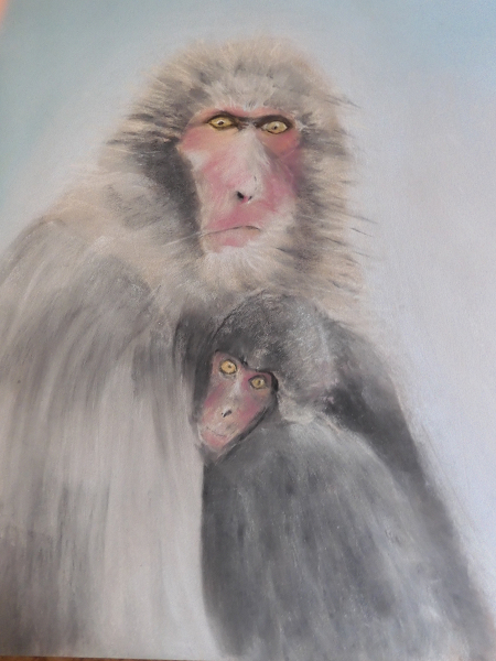 macaques du Japon