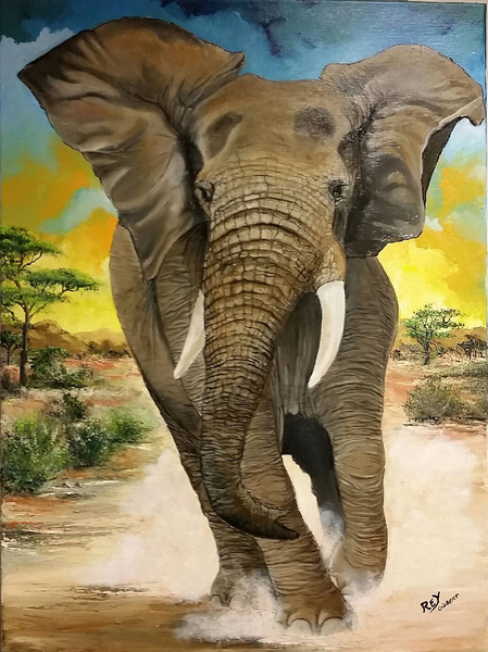 Charge d'éléphant