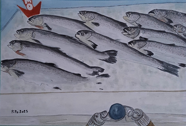Les saumons