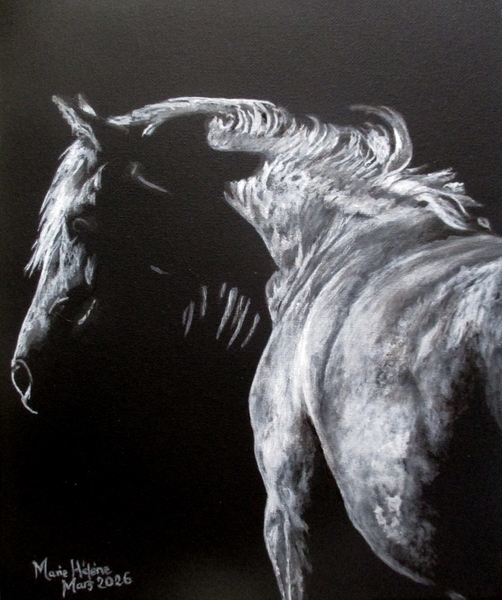 Cheval blanc