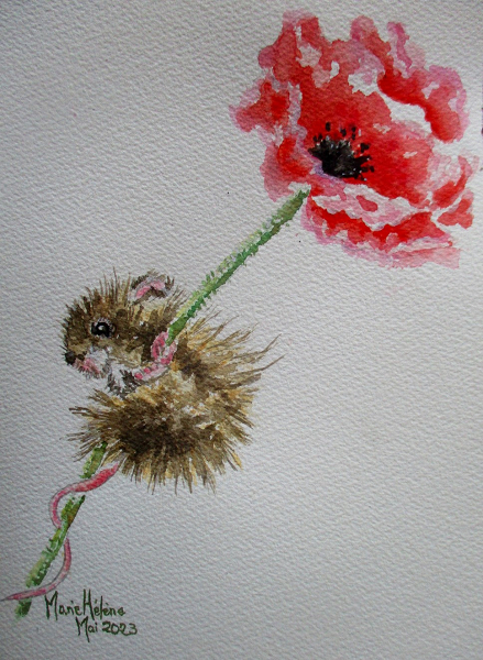 Le mulotAquarelle sur papier aquarelle - 13 x 18