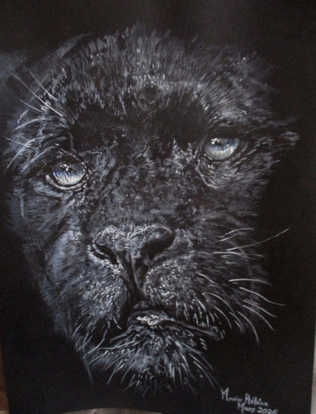 Panthère noire aux yeux bleuse