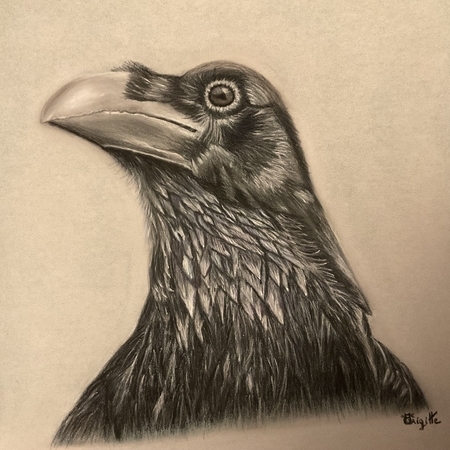 Le corbeau