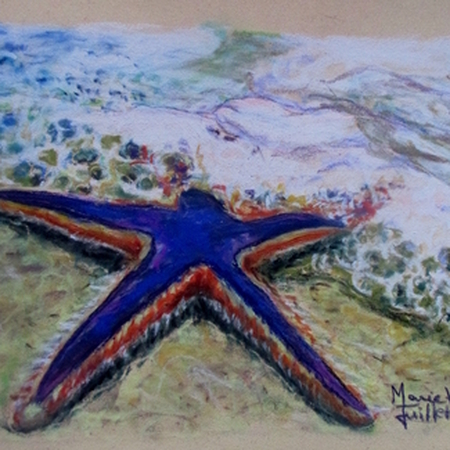 L'étoile de mer