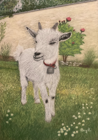 "La biquette de Valancay"
