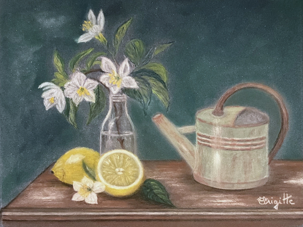 Le petit arrosoir du citronnier