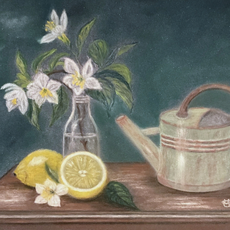 Le petit arrosoir du citronnier