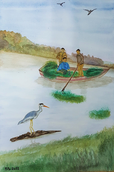 Aquarelle - Que d'eau