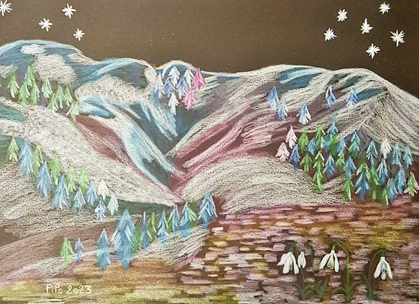 Perce-neige
