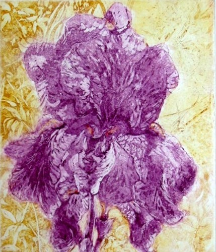 GRAVURE SUR CUIVRE - IRIS  tirage sur papier 22 x30