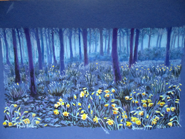 Jonquilles en Forêt Noire