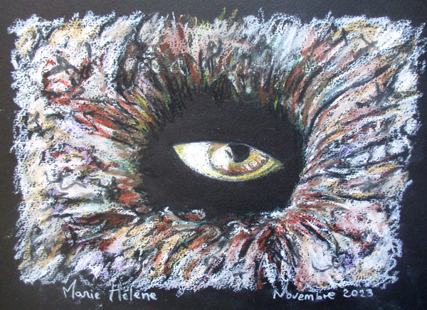 L'oeil