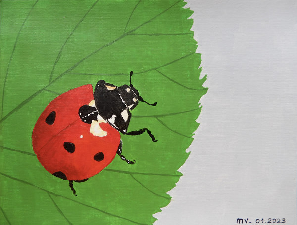 Coccinelle sur une feuille