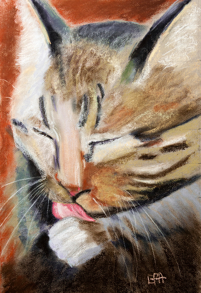 La toilette