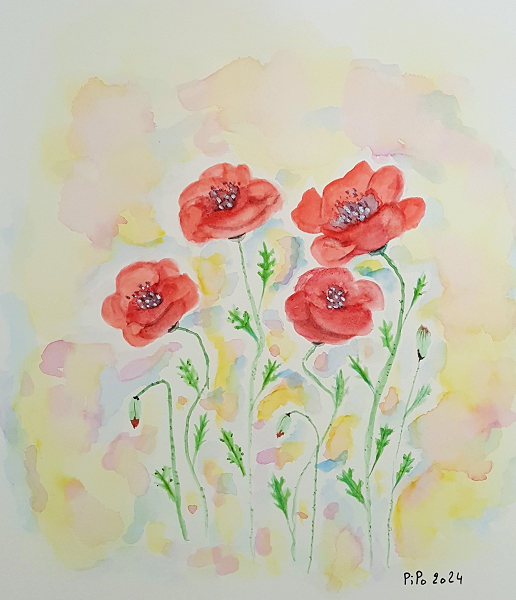 Coquelicots
