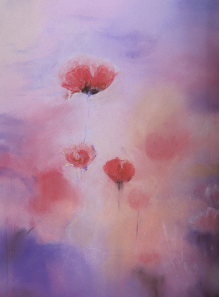 coquelicots