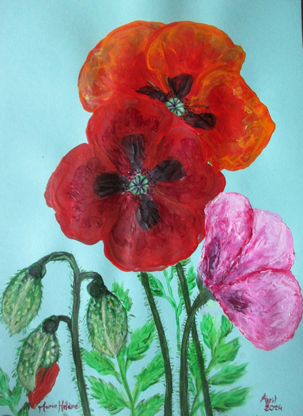 Trois coquelicots