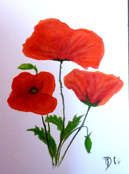 coquelicots
