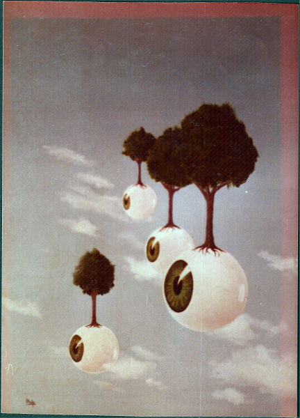 D'illusions en désillusions