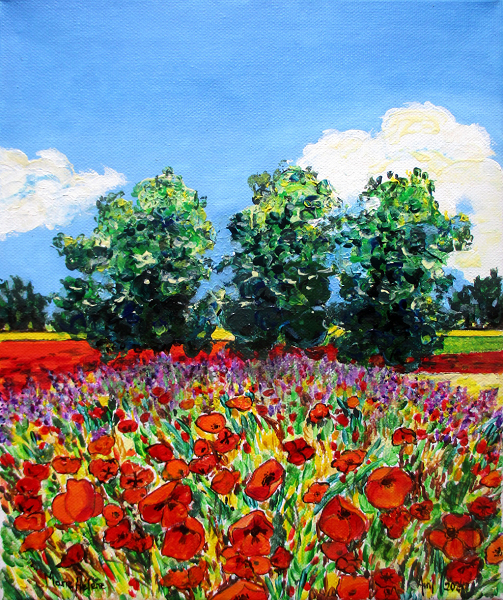 Coquelicots en Provence
