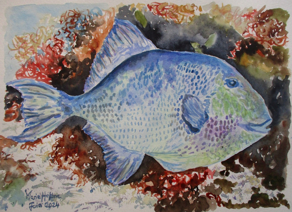 Heureux comme un poisson dans l'eau