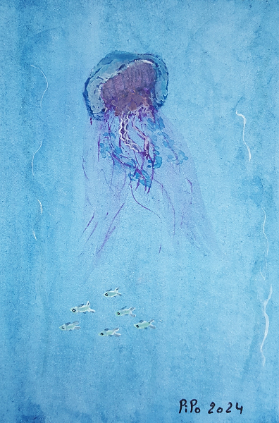 Méduse bleue
