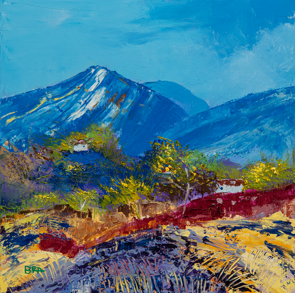 Terre de Provence II