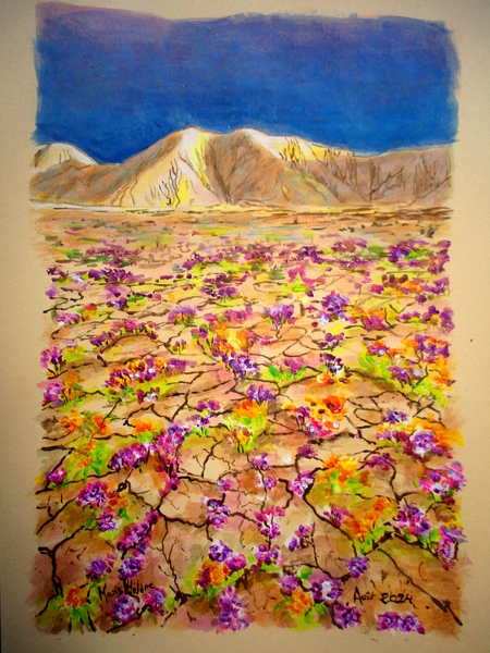 Fleurs du désert