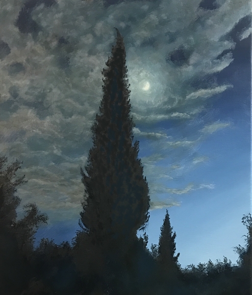 Les cyprès